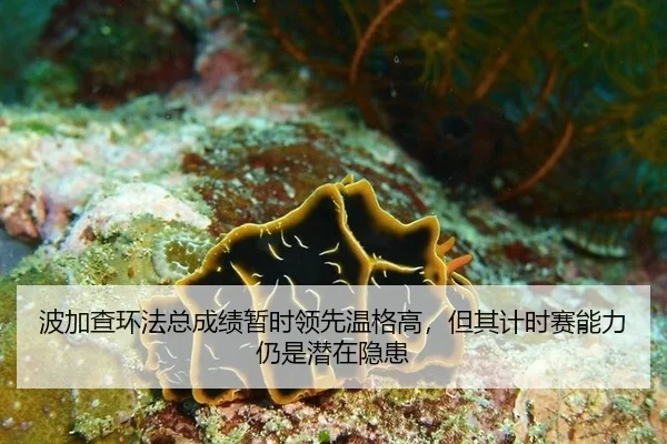 bo-jia-cha-huan-fa-zong-cheng-ji-zan-shi-ling-xian-wen-ge-gao-dan-qi-ji-shi-sai-neng-li-reng-shi-qian-zai-yin-huan-3-169.jpg
