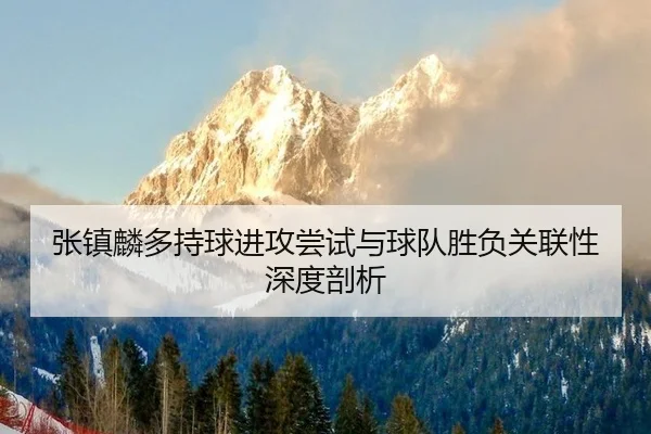zhang-zhen-lin-duo-chi-qiu-jin-gong-chang-shi-yu-qiu-dui-sheng-fu-guan-lian-xing-shen-du-pou-xi-3-358.jpg