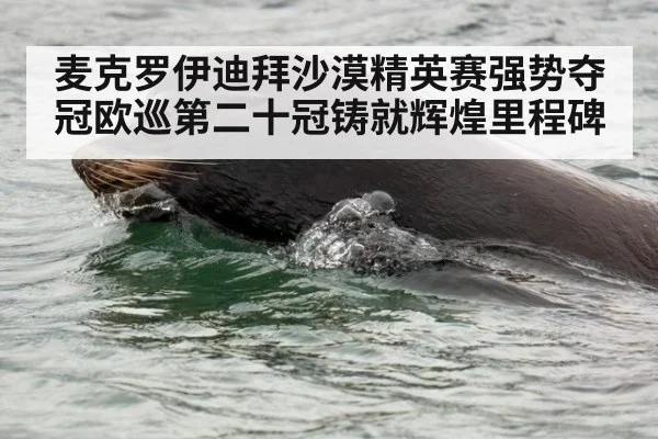 麦克罗伊迪拜沙漠精英赛强势夺冠欧巡第二十冠铸就辉煌里程碑